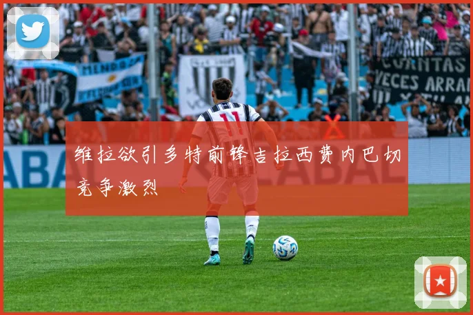 维拉欲引多特前锋吉拉西费内巴切竞争激烈