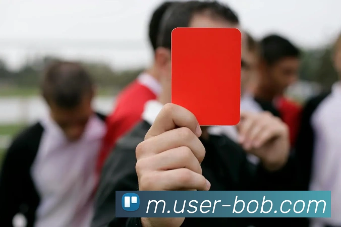 BOB体育APP 封面图
